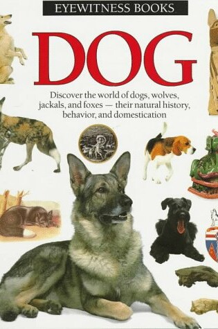 Cover of Dog