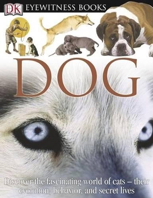 Book cover for Dog