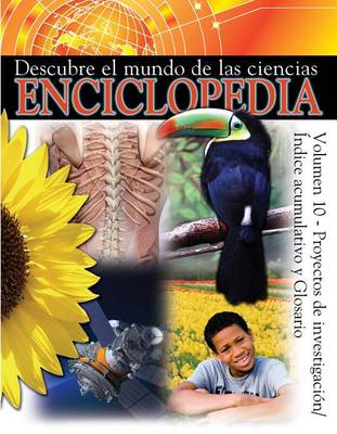 Book cover for Proyectos de Investigacion/ Indice Acumulative y Glosario (Index and Research Projects)