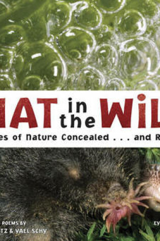 Cover of What in the Wild?