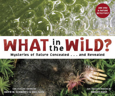 Book cover for What in the Wild?