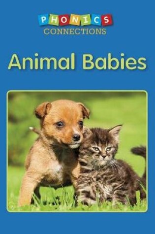 Cover of Animal Babies