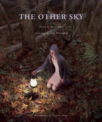 Book cover for The Other Sky