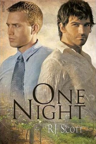 Cover of One Night