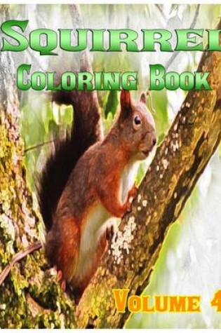 Cover of Squirrel Coloring Books Vol.4 for Relaxation Meditation Blessing