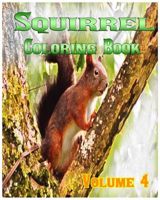 Book cover for Squirrel Coloring Books Vol.4 for Relaxation Meditation Blessing
