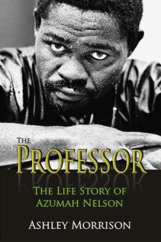 Cover of The Professor