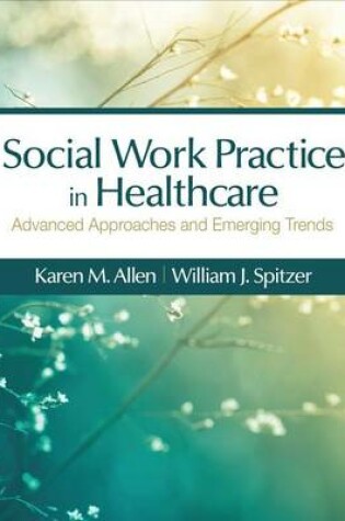 Cover of Social Work Practice in Healthcare