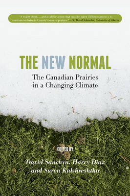 Book cover for The New Normal