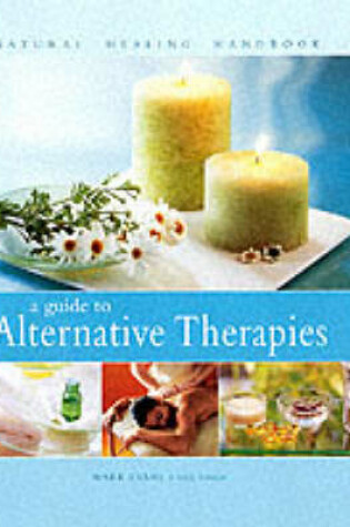 Cover of A Guide to Alternative Therapies