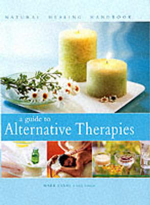 Book cover for A Guide to Alternative Therapies