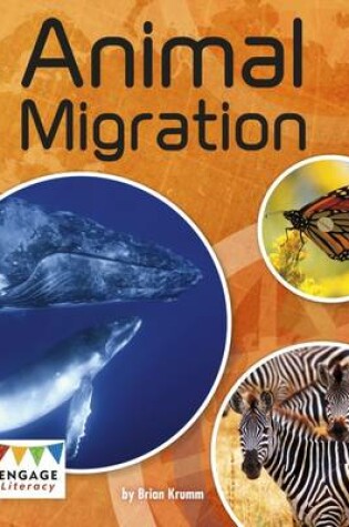 Cover of Animal Migration