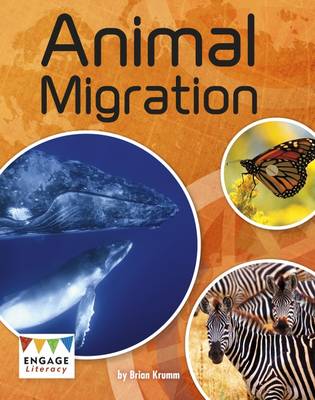 Cover of Animal Migration