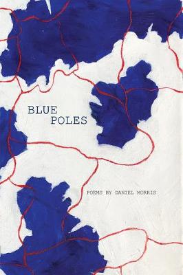 Book cover for Blue Poles