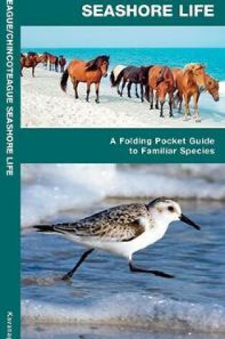 Cover of Assateague/Chincoteague Seashore Life