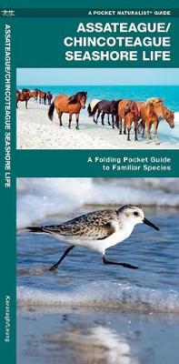 Cover of Assateague/Chincoteague Seashore Life