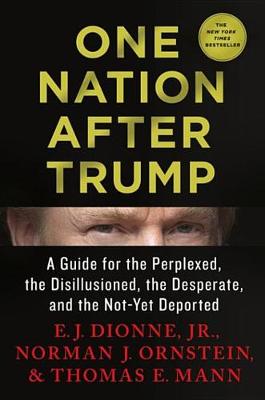 Cover of One Nation After Trump