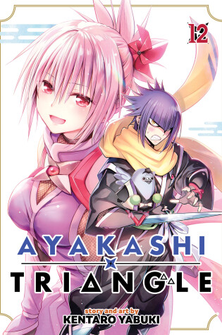 Cover of Ayakashi Triangle Vol. 12