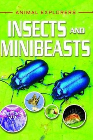 Cover of Insects and Minibeasts