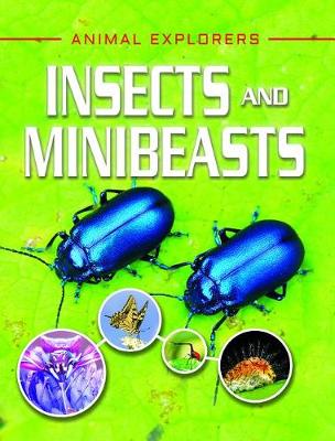 Book cover for Insects and Minibeasts