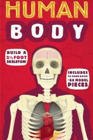 Cover of Build the Human Body