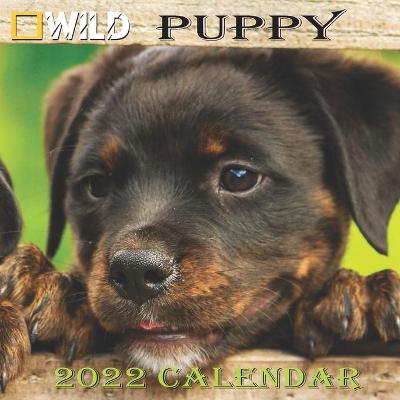 Book cover for Puppy Calendar 2022