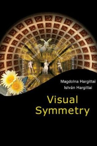 Cover of Visual Symmetry