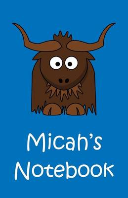 Book cover for Micah's Notebook