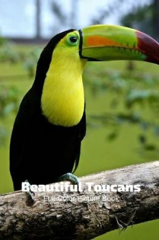 Cover of Beautiful Toucans Full-Color Picture Book