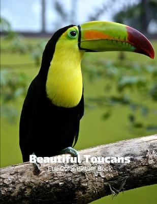 Book cover for Beautiful Toucans Full-Color Picture Book