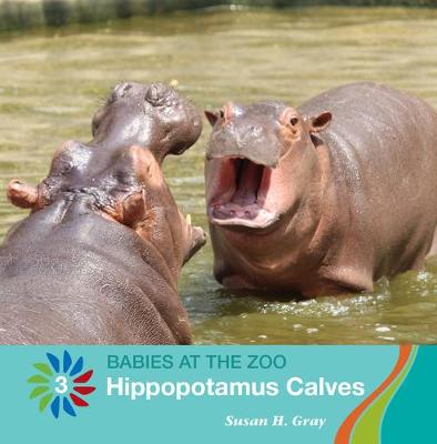 Cover of Hippopotamus Calves