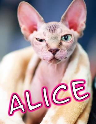 Book cover for Alice