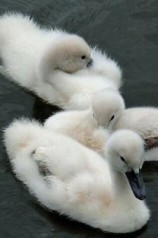 Cover of Such Darling Baby Swans on a Lake Baby Animals Journal