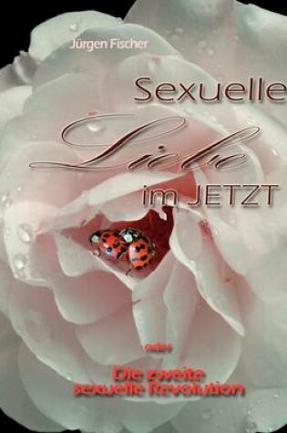 Cover of Sexuelle Liebe Im Jetzt