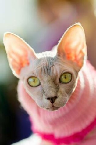 Cover of A Sphynx Cat in a Pink Sweater Journal