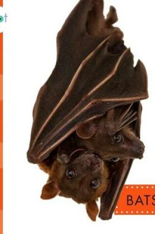 Cover of Bats