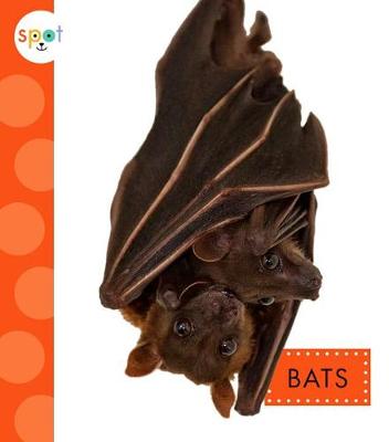 Cover of Bats