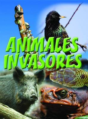 Book cover for Animales Invasores (Animal Invaders)