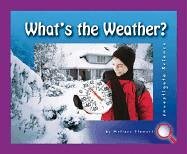 Book cover for What's the Weather?