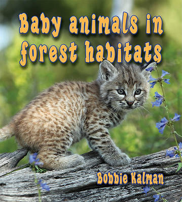 Book cover for Baby Animals in Forest Habitats