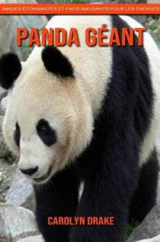 Cover of Panda Géant
