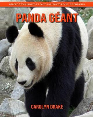 Book cover for Panda Géant