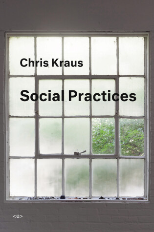 Cover of Social Practices
