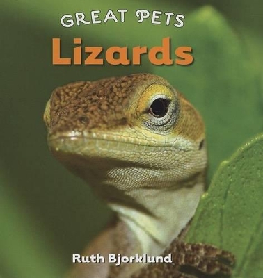 Cover of Lizards