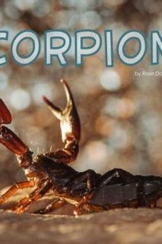 Cover of Scorpions