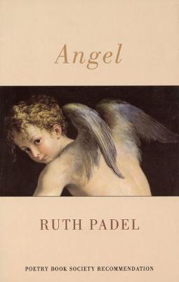 Book cover for Angel