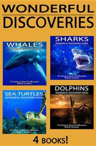 Cover of Sharks, Whales, Dolphins, Sea Turtles