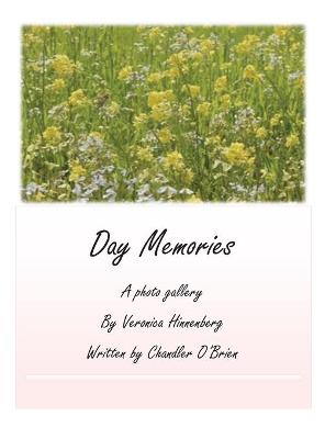 Book cover for Day Memories