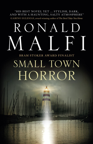 Book cover for Small Town Horror