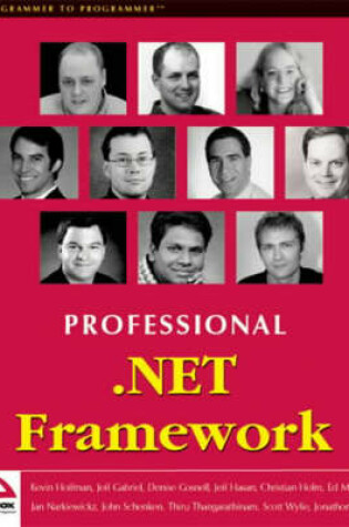 Cover of Professional .NET Framework